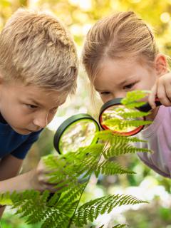 Spacery w najbliższej okolicy